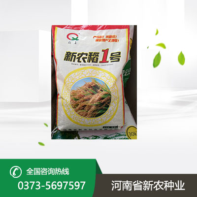江苏水稻种子