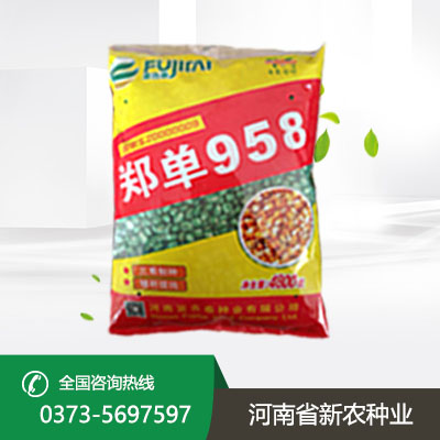 江苏玉米种子高产品种