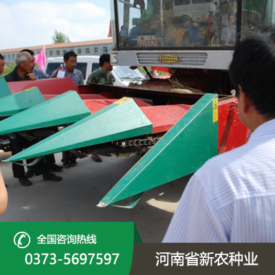 江苏高产稳产玉米种子