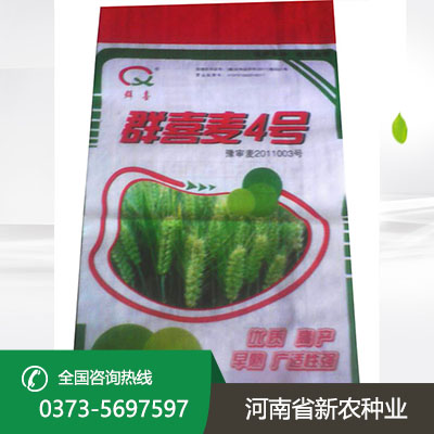 江苏群喜麦4号