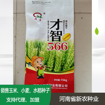 江苏小麦种子加盟