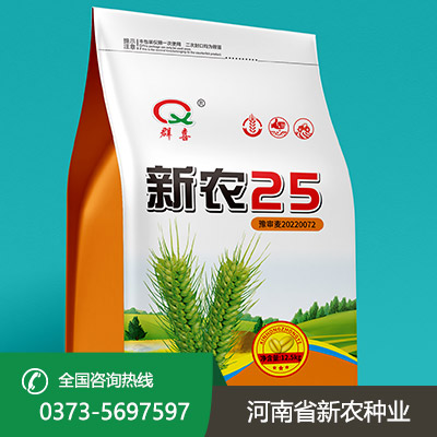 江苏大量批发小麦种子