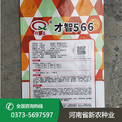 江苏抗倒小麦种子