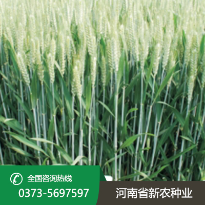 江苏佳源25
